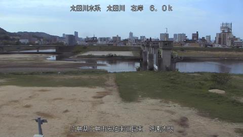 2025年5月3日8時 の様子