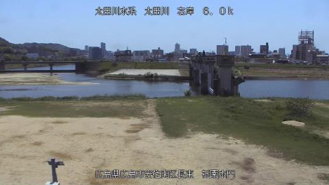 2025年5月3日11時 の様子