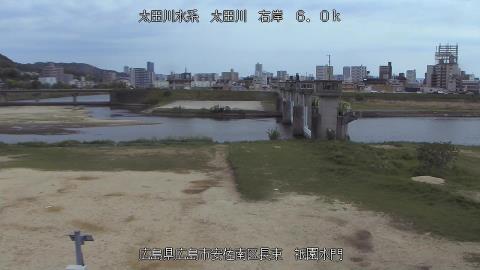 2025年5月2日14時 の様子