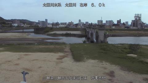 2025年5月2日15時 の様子