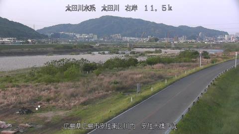 2025年5月3日5時 の様子