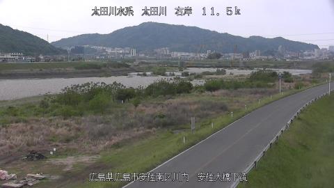 2025年5月3日6時 の様子