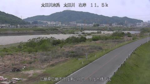2025年5月3日8時 の様子