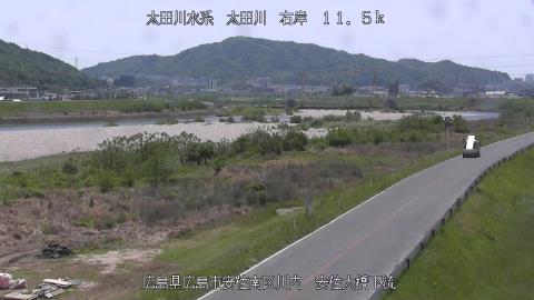 2025年5月3日11時 の様子