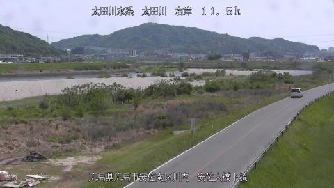 2025年5月3日12時 の様子