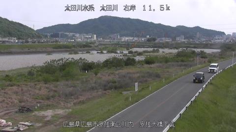 2025年5月2日15時 の様子