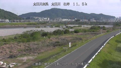 2025年5月2日16時 の様子