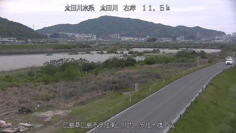 2025年5月2日17時 の様子