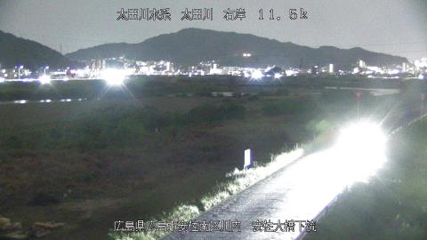 2025年5月2日19時 の様子