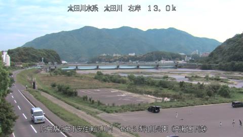 2025年5月3日8時 の様子