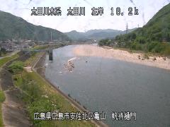 2025年5月3日10時 の様子