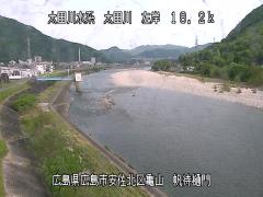 2025年5月2日15時 の様子