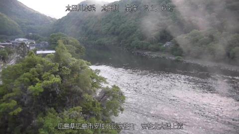 2025年5月3日5時 の様子