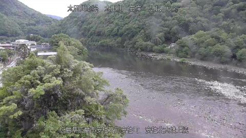 2025年5月3日7時 の様子