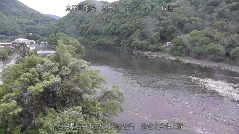2025年5月3日8時 の様子