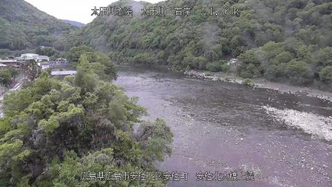 2025年5月2日14時 の様子