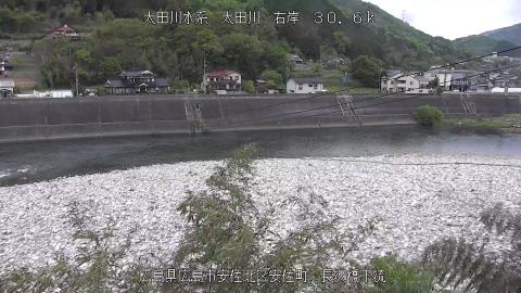 2025年5月3日8時 の様子