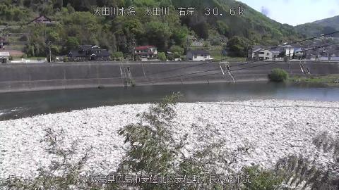 2025年5月3日9時 の様子