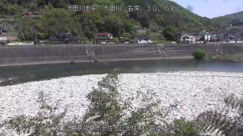 2025年5月3日10時 の様子