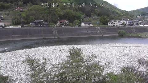 2025年5月2日15時 の様子