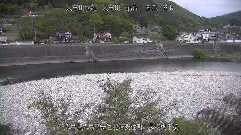 2025年5月2日17時 の様子