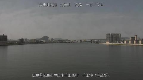 2025年5月3日9時 の様子