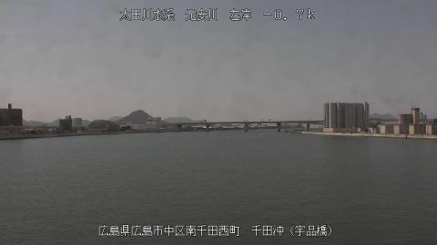 2025年5月3日10時 の様子