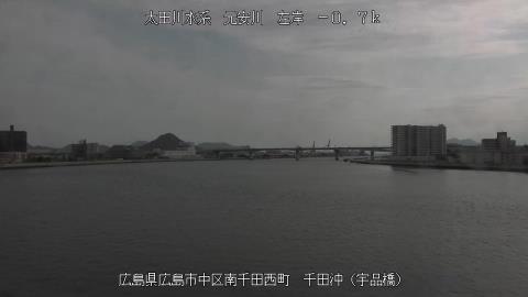 2025年5月2日15時 の様子
