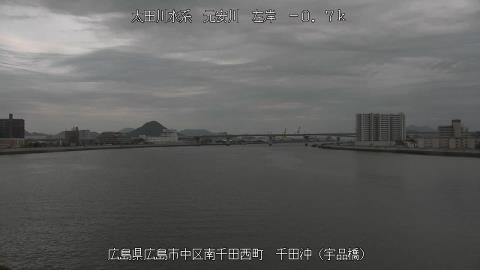 2025年5月2日17時 の様子