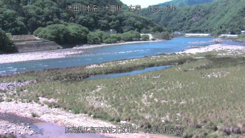 2025年5月3日10時 の様子
