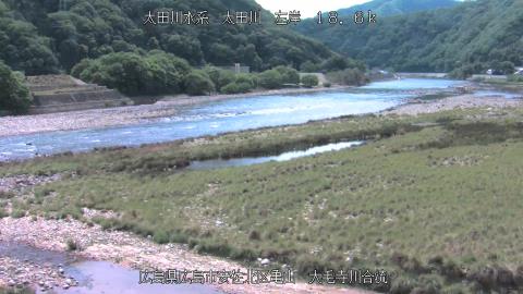 2025年5月3日13時 の様子