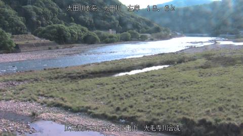 2025年5月2日16時 の様子