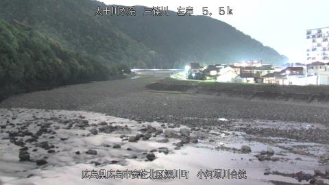 2025年5月2日19時 の様子