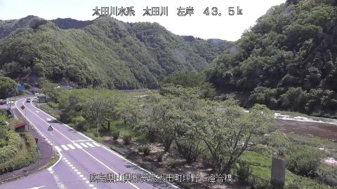 2025年5月3日10時 の様子