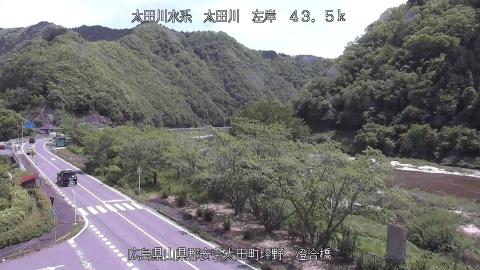 2025年5月3日11時 の様子