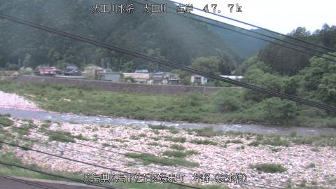 2025年3月27日5時 の様子