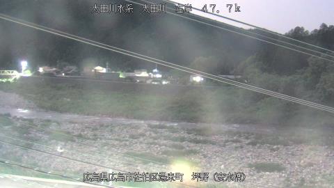 2025年3月27日19時 の様子
