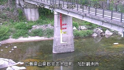 2025年5月3日16時 の様子