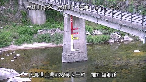 2025年5月3日17時 の様子