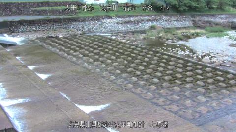 2025年5月3日8時 の様子