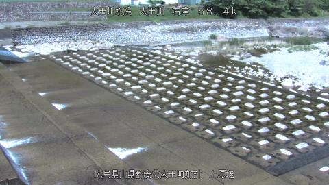 2025年5月3日10時 の様子