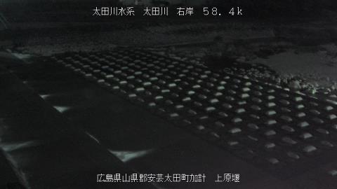 2025年5月3日19時 の様子