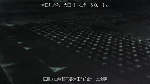 2025年5月3日20時 の様子