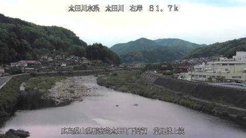 2025年5月3日15時 の様子