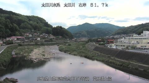 2025年5月3日17時 の様子