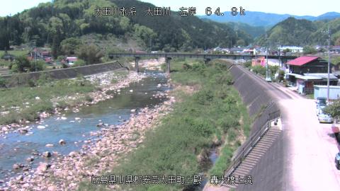 2025年5月3日10時 の様子