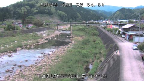 2025年5月3日17時 の様子
