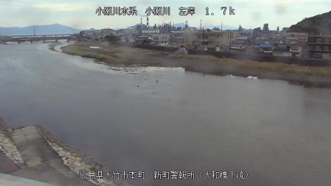 2025年5月3日17時 の様子