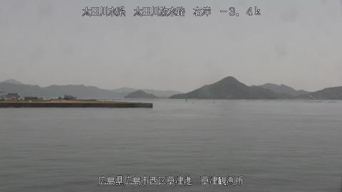 2025年5月3日11時 の様子