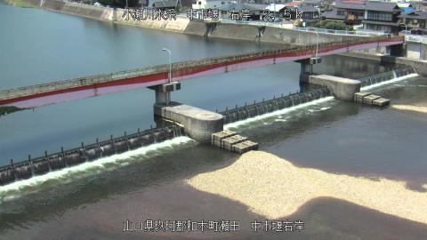 2025年5月2日11時 の様子